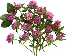 LAYER-LAB_0807200180_LC