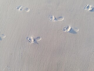 clean beach on the baltic sea