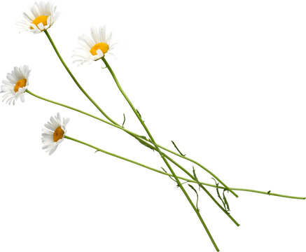 LAYER-LAB_0906200745_LC