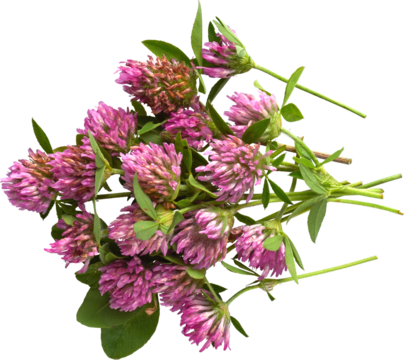 LAYER-LAB_0906200885_LC