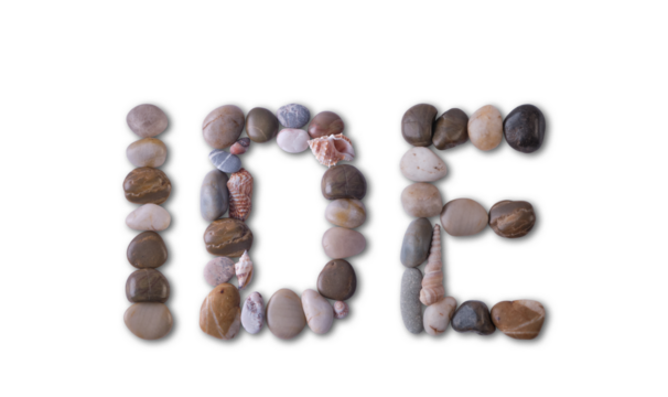 The word "IDE" is lined with shells and stones of different shapes and colors on a transparent background. Types of fish and seafood, price tag, sea food, fish market, sea alphabet.
