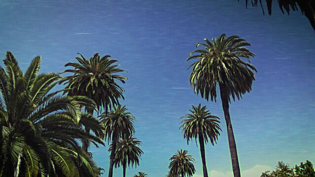 Palm trees with VHS effect