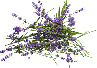 an isolated random pile of lavender flowers