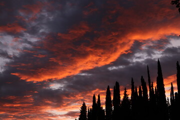 tramonto con nuvole rosse e cielo e cipressi