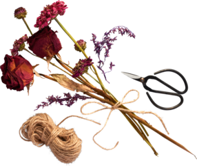 isolated beautiful flowers with craft rope and Bonzai scissors