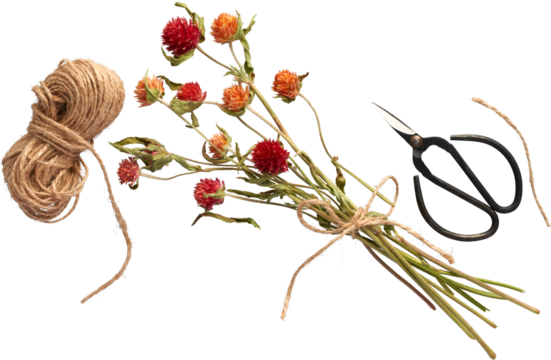 isolated beautiful flowers with Bonzai scissors