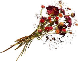 isolated bouquet of orange and red flowers with debris