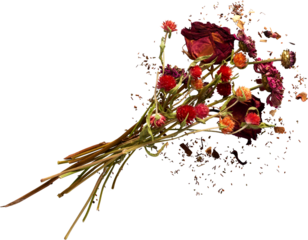 isolated bouquet of orange and red flowers with debris