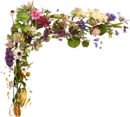 an isolated corner shape of dried flowers