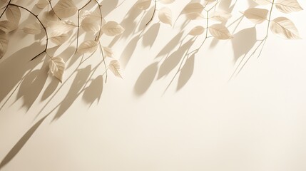 Minimalistic concept photography for blogging featuring beige monochrome backdrop or screensaver with abstract natural leaf shadows on a white wall. silhouette concept