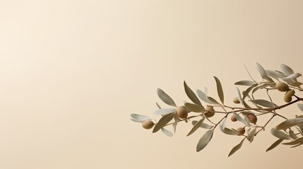 Neutral pastel beige wall adorned with olive tree branches. silhouette concept