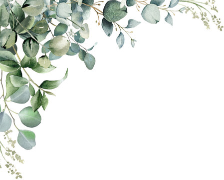 Watercolor eucalyptus illustration. Corner border. Greenery frame. Floral arrangement PNG