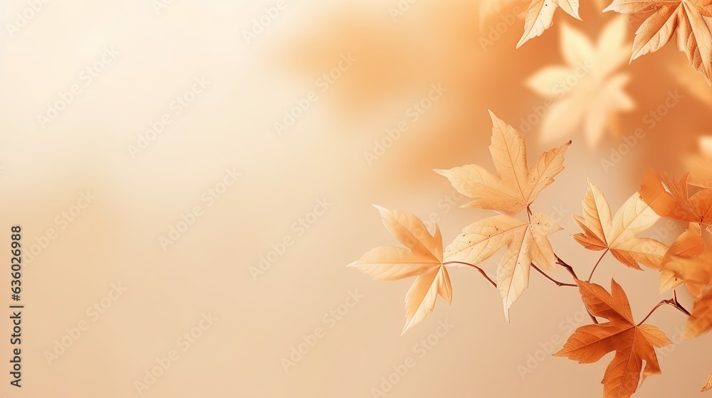 Aufkleber minimalistic autumn background with maple leaf shadows on beige. silhouette concept