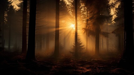 Autumn s misty forest at daybreak. silhouette concept