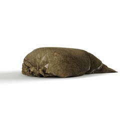 Obraz premium 3D rendering of a stuffed dirty sack isolated on a white background