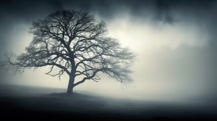 Fototapeta na wymiar Foggy tree. silhouette concept