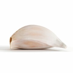 3D render of a close-up of a single, white garlic clove isolated against a plain white background