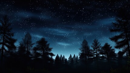 Fototapeta na wymiar Star filled night forest landscape with pine trees and dark sky. silhouette concept
