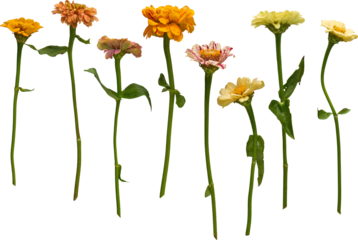 LAYER-LAB_2808201440_LC