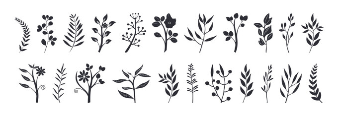 Fototapeta na wymiar Botanical floral branch hand drawn silhouette vector illustration