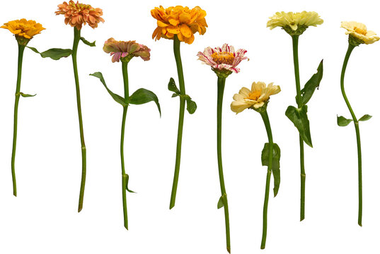 LAYER-LAB_2808201440_LC