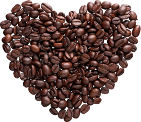 LAYER-LAB_3041815356_LC