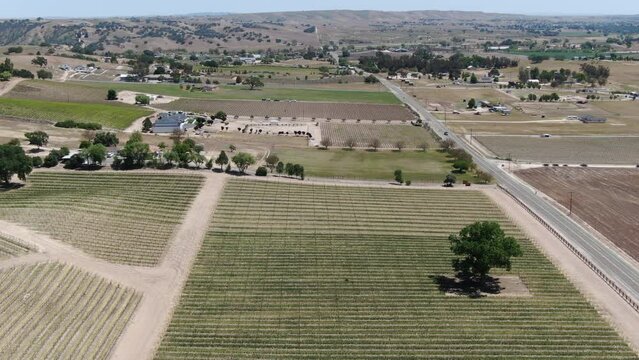 California Wine Country Paso Robles Vineyard Aerial Shot Forward