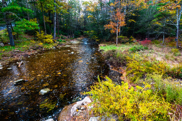 Autumn on Lake Minnewaska