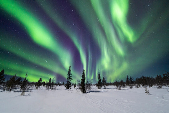 Amazing view of northern lights over snowy mountains and trees in sky