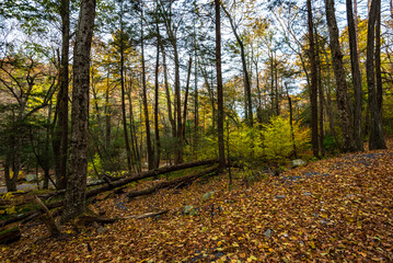 Autumn on Lake Minnewaska