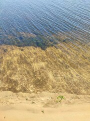 Sea water waves on the summer beach