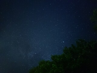 Fototapeta na wymiar A tree on the background of a clear starry night sky