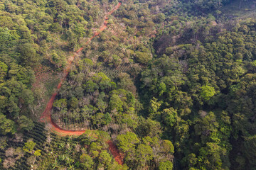 Aerial view over a coffee plantation that is grown under native tree shadow