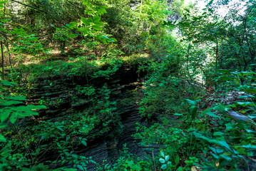 Watkins Glen State Park