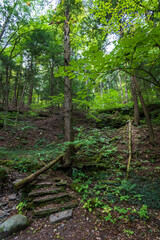 Robert H. Treman State Park: Gorge Trail