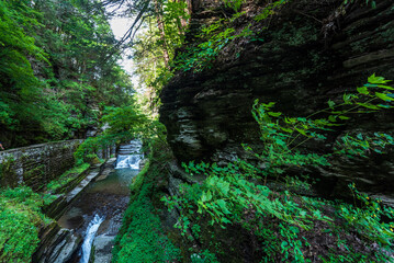 Robert H. Treman State Park: Gorge Trail