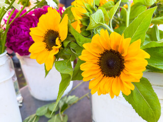 A view of several sunflowers, on display at a local farmers market.