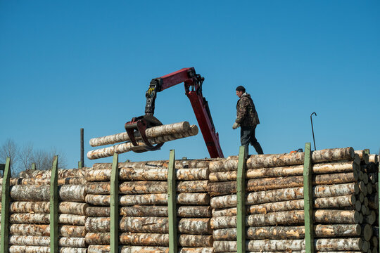 Stack of logs at a lumber yard
