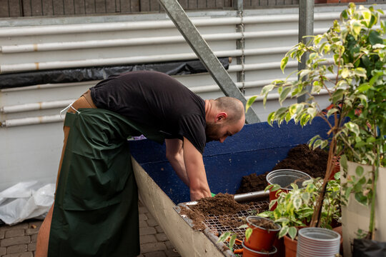 Gardener works inside greenhouse