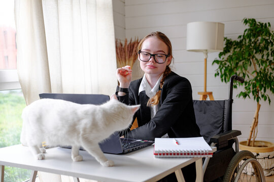 business woman working at home while her cat walking on table