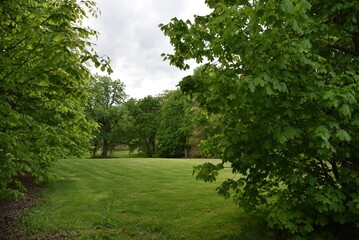 Naklejka premium Spring at Snug Harbor