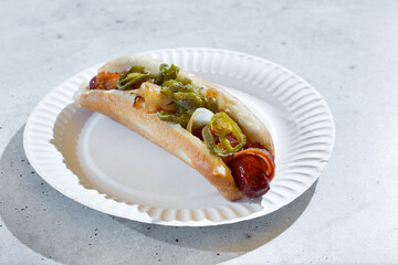 A view of a Tijuana dog.