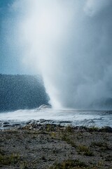 Old Faithful Geyser in Yellowstone National Park.