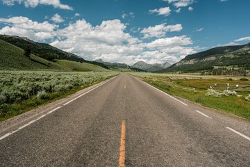 Scenic landscape of a road in Yellowstone National Park in Wyoming.