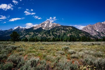 Grand Teton mountains and surrounding forest and grass area in Grand Teton National Park, Wyoming.
