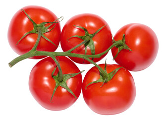 Red ripe tomatoes on a green branch on a white background, healthy vegetable