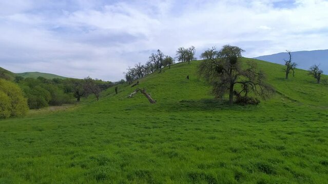 Aerial Shot Of Green Plants And Trees Near Railroad Track, Drone Ascending Forward Over Natural Landscape Against Cloudy Sky - Bakersfield, California