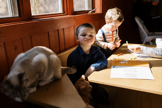 family at dining table together with cat walking over drawings