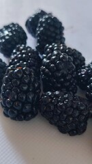 blackberries on a white background