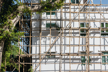 Building surrounded by bamboo
